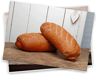 welkom-bakkerijsteenbergen